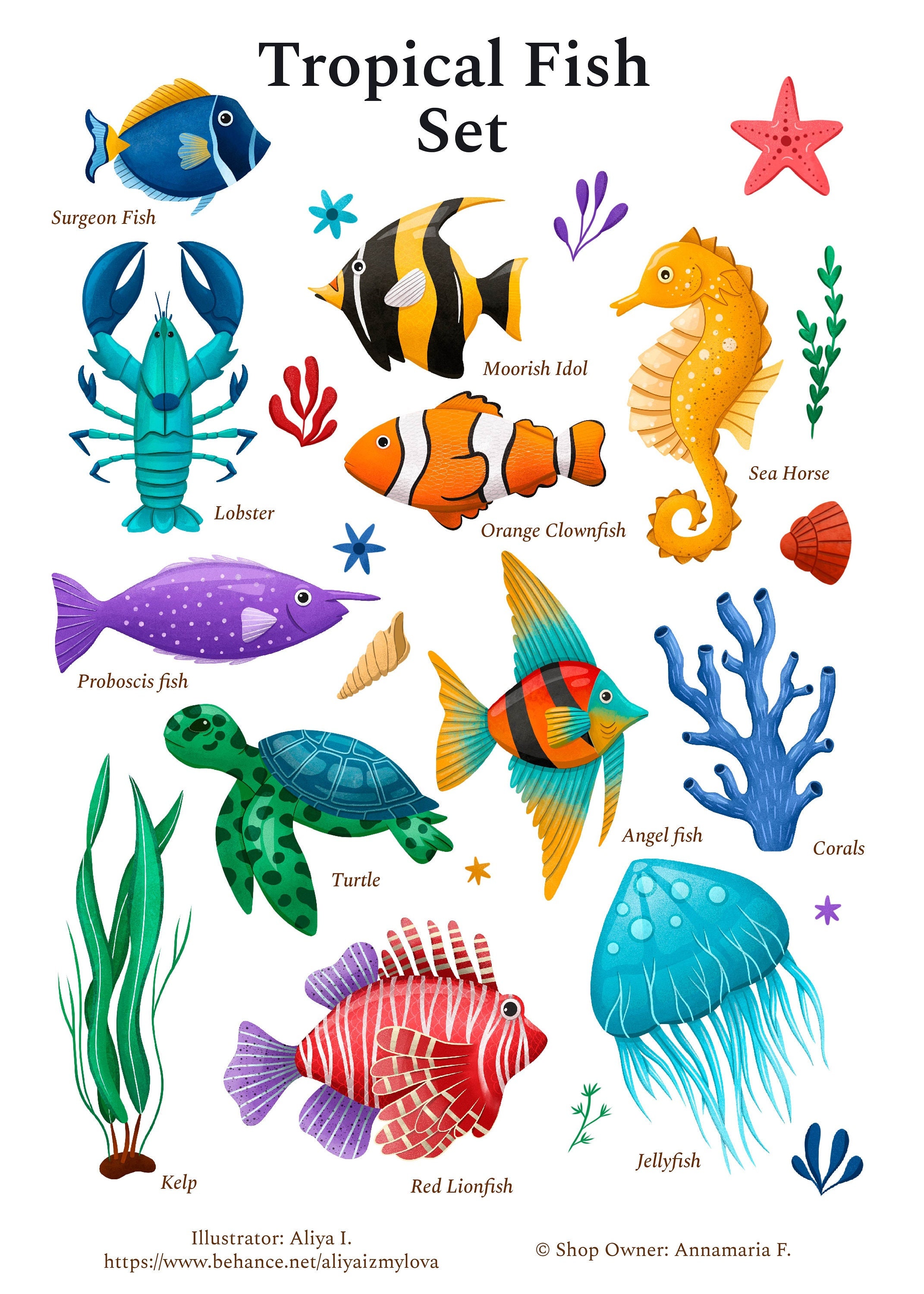 Digital Download Clipart Variety of Beautiful Tropical Fish Ready