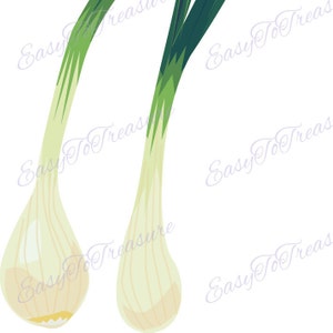 Digital Download Clipart – Green Spring Onion JPEG and PNG files