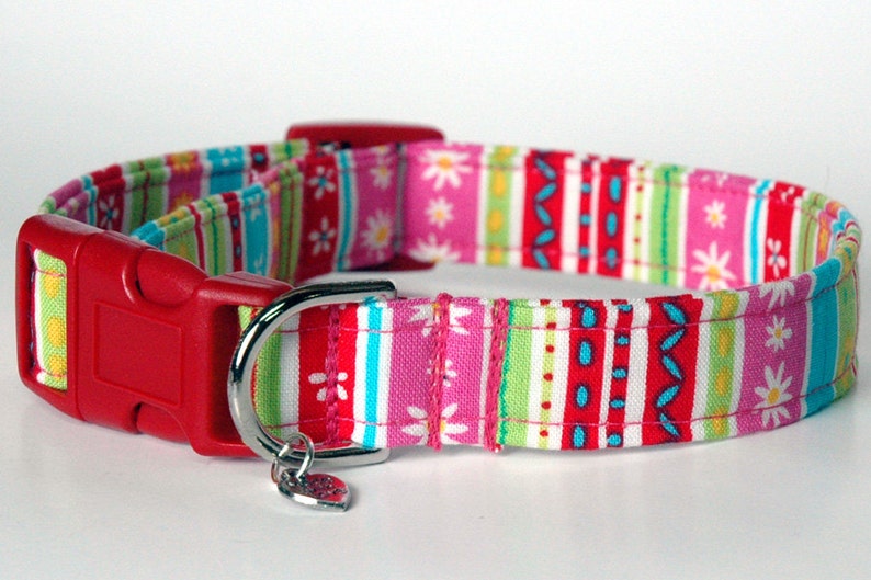 Handmade Fun Multi Colorful Girl Dog Collar New image 1