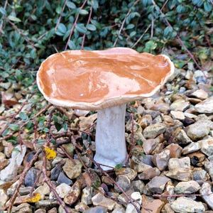 May include: A ceramic mushroom sculpture with a light brown cap and a white stem. The cap has a textured surface with a marbled effect. The sculpture is set among small rocks and greenery.