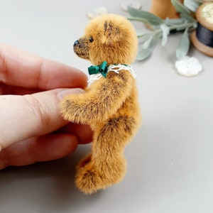 Può includere: Un piccolo orsacchiotto di peluche marrone con un fiocco verde e un colletto di pizzo bianco. L'orsacchiotto è in piedi sulle zampe posteriori ed è tenuto da una mano.