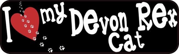 10in x 3in Purrfectly Sane Cat Lady Bumper Sticker Vinyl Vehicle Stickers