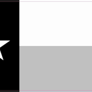 4.25in x 2.5in Black and White Texas Flag Magnet