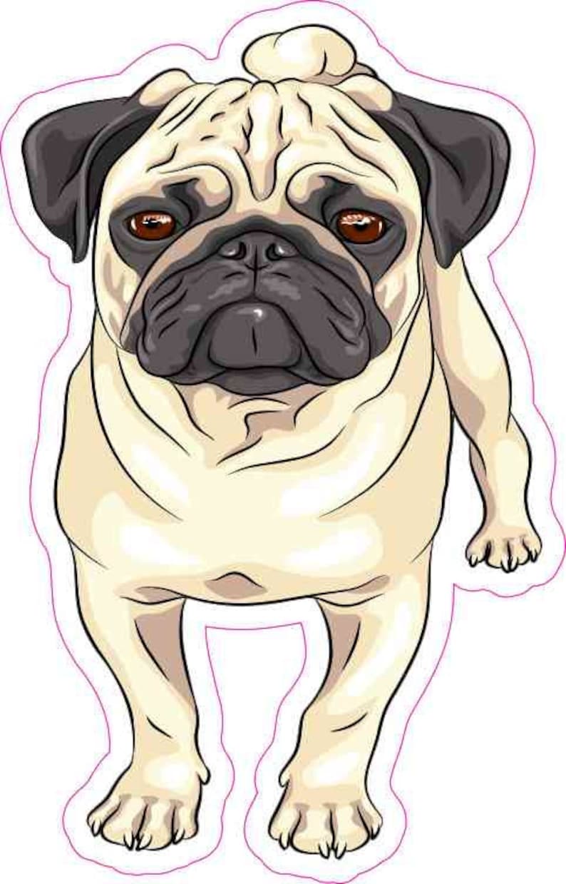 3in X 5in Pug Sticker Vinyl Cup Decal Car Bumper Stickers Dog Etsy