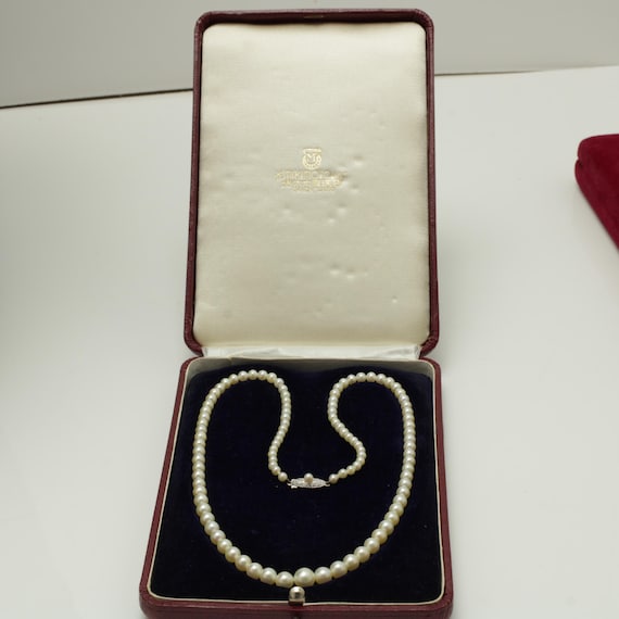 廃盤【MIKIMOTO】THE PEARL NECKLACE il_1080xN.6329590798_szt9.jpg
