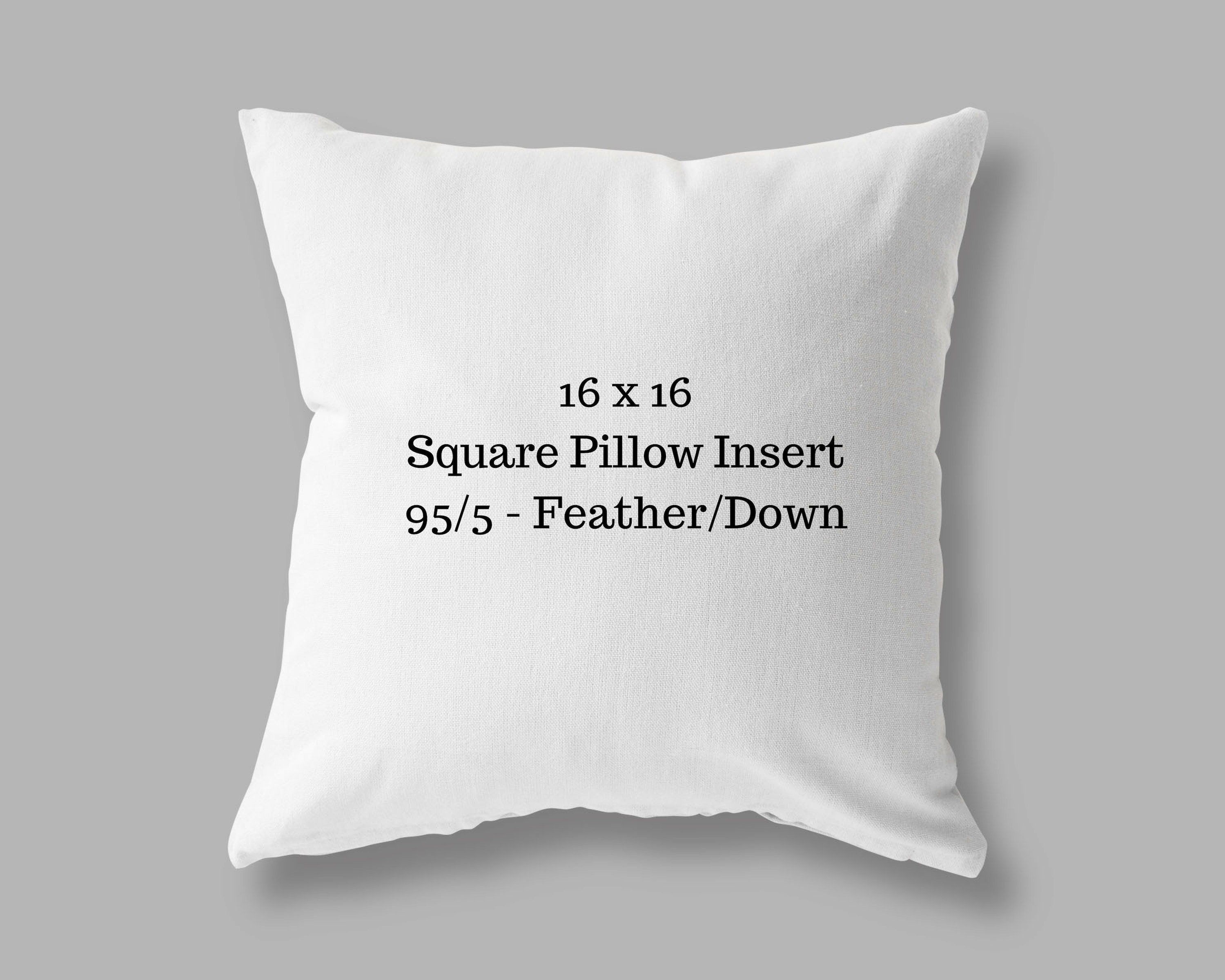 16 x 16 Pillow Insert 95/5 Feather/Down Indoor Etsy