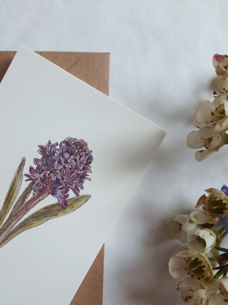 Blue hyacinth ,flower art card, gift tag, botanical art card, floral illustration print, floral card, hyacinth card, spring card, small card image 4