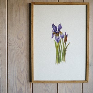 Blue iris ART PRINT/ iris wall decor/wall art decor/room wall art/art print/flower print/botanical art print/A3 print/iris print/flower art