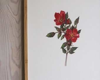 Red roses ART PRINT/ rose wall decor/wall art decor/room wall art/art print/flower print/rose art print/A3 print