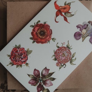 Carte de voeux, carte postale, carte d'anniversaire, impression de dessin, impression aquarelle, carte d'anniversaire originale, carte florale, carte romantique, taille 10 x 15 cm