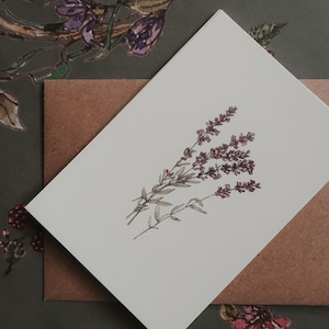 Kleine kaart lavendel, kaart aquarel kunst lavandas, bloemen cadeaulabel, lavendel illustratie print, rustieke stijl, maat 3 x 4