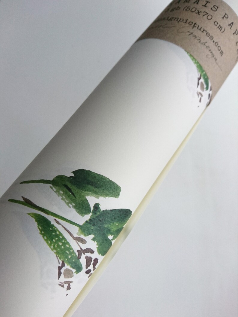 May include: A rolled up white paper with a green watercolor painting of leaves and branches. The paper is labeled "This Paper is A (50x70 cm) ...tempictures.com ...anden..."