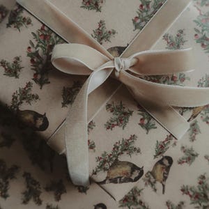 Carta da regalo di Natale, Carta da regalo di Natale, Carta da regalo di Natale, Ordito per regali di Natale, Carta da regalo di Natale, carta regalo, carta per uccelli
