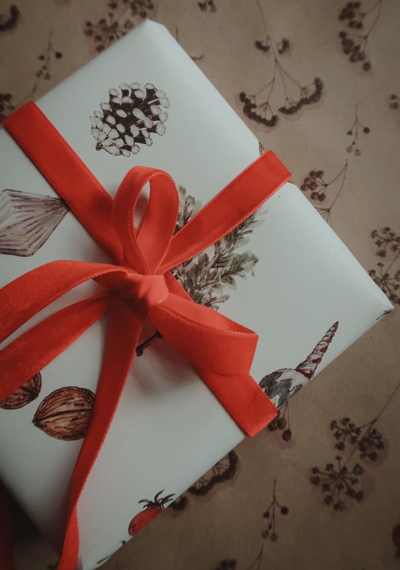 May include: A white gift box with a red velvet ribbon tied in a bow. The box is decorated with a pine cone, a sprig of greenery, and other botanical illustrations.