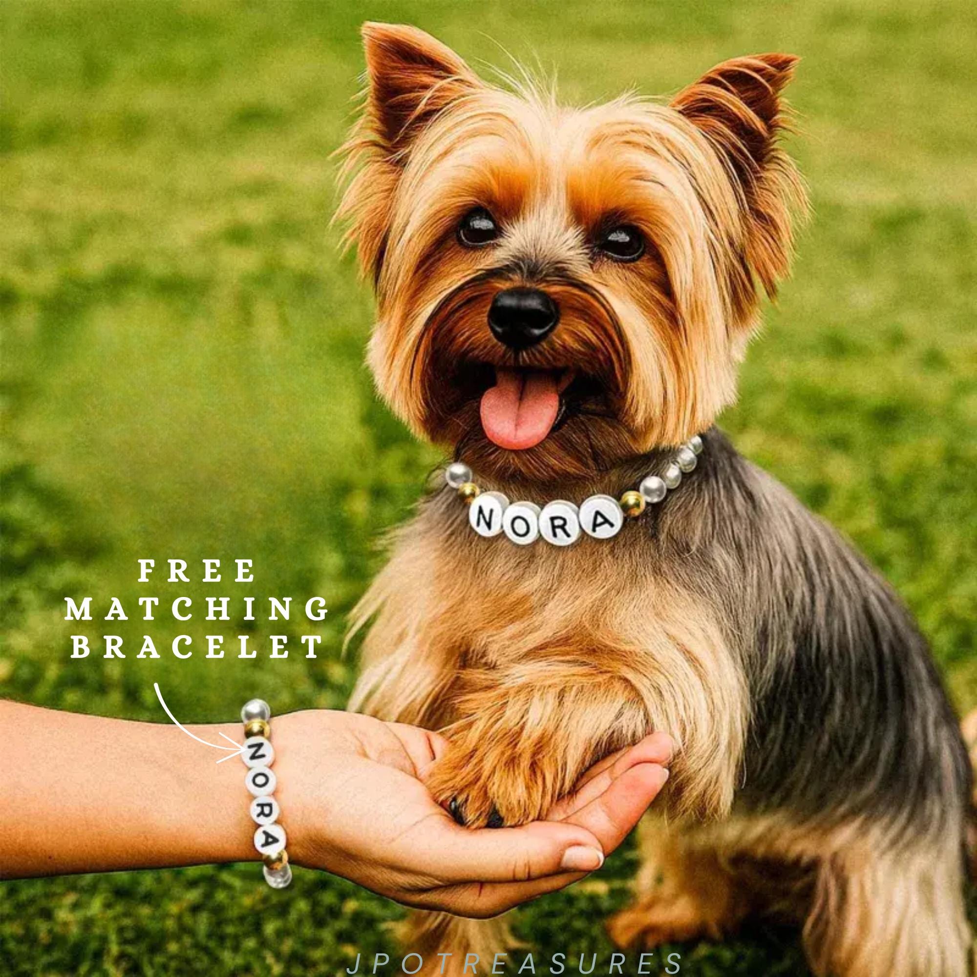 Puppy Matching Collar Bracelet Matching Dog Collar And Bracelet