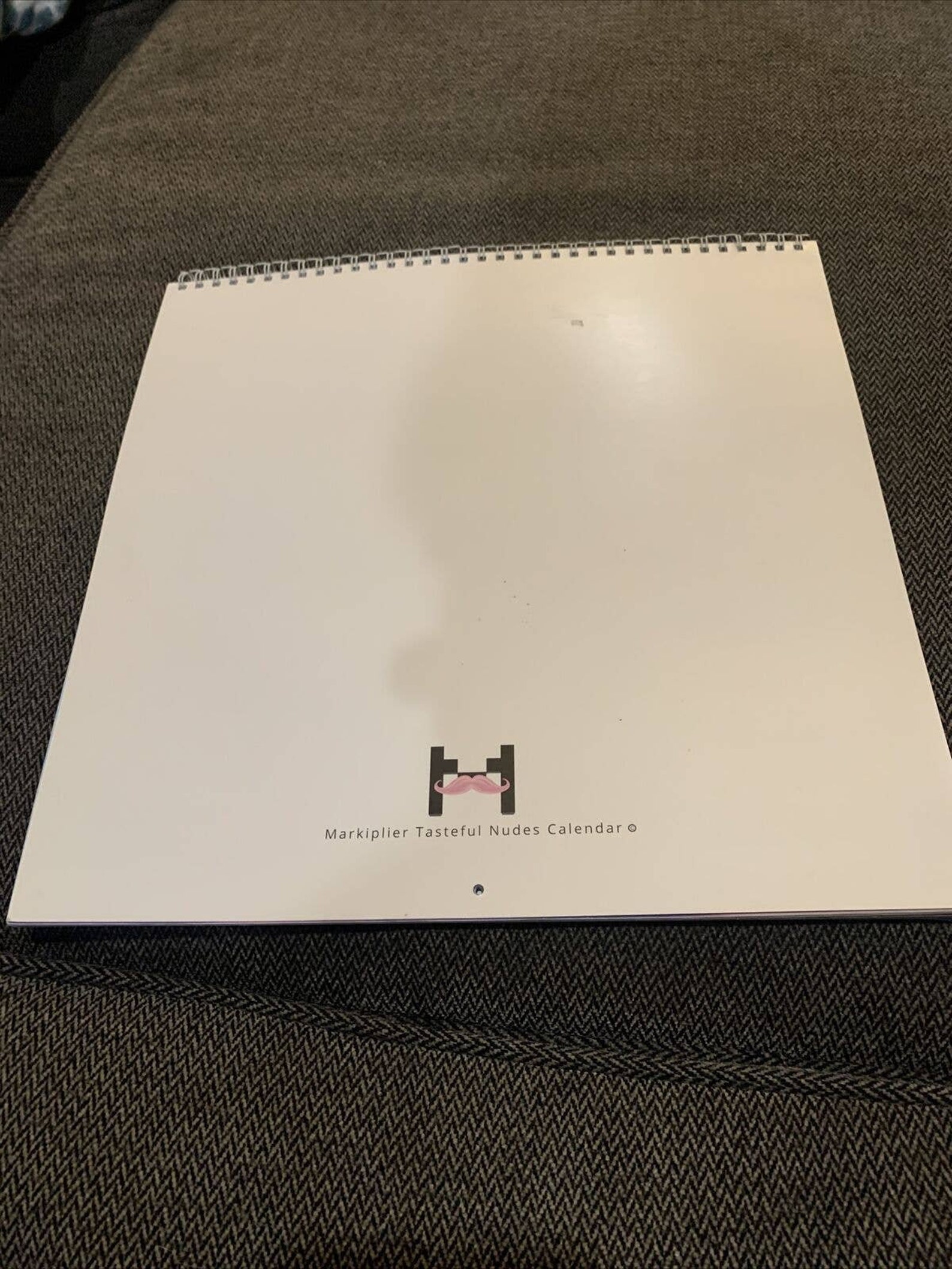 Markiplier Tasteful Calendar AUTOGRAPHED Etsy