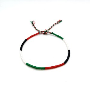 May include: A green, white, and black friendship bracelet with red accents. The bracelet is made of woven string and is tied in a knot at the end.
