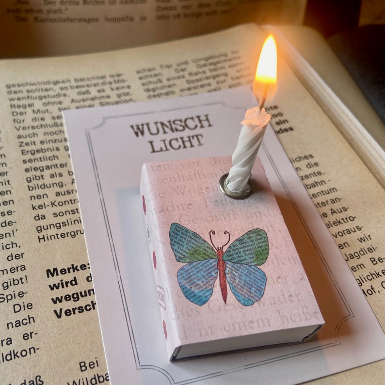 Schachtellicht Schmetterling image 2