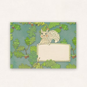 10 envelopes with squirrel