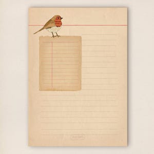 Könnte beinhalten: Ein hellbraunes Briefpapier mit horizontalen Linien und einem roten oberen Rand. Links befindet sich ein kleiner, rechteckiger Notizblock-Aufsatz, der mit einer Illustration eines Rotkehlchens mit roter Brust und Textdetails versehen ist.
