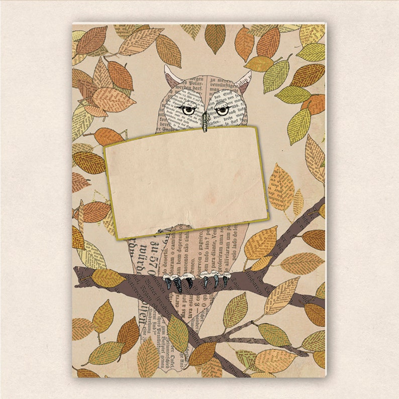 thick postcard owl image 1