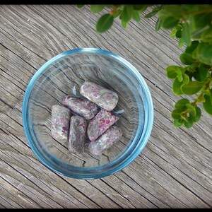 May include: A clear glass bowl with a blue rim contains several gray, oblong stones speckled with pink. The bowl sits on a weathered wooden surface, with green foliage in the upper right corner.