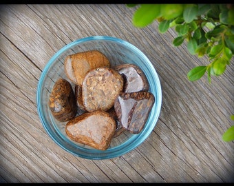 Tumbled Bronzite