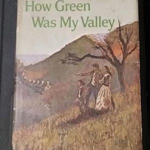 How Green was My Valley, 1940, book club edition, hardback with dust jacket. Great shape! Free domestic shipping.