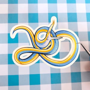 3'' Ribbon Eel Sticker