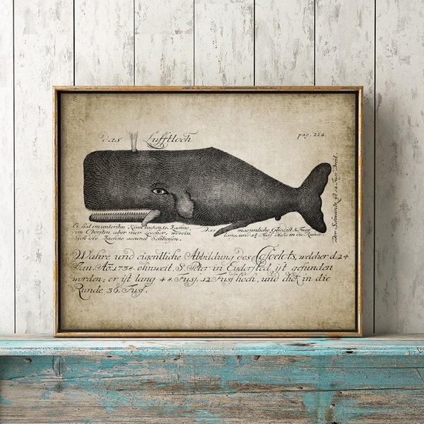 Whale Wall Art - Etsy