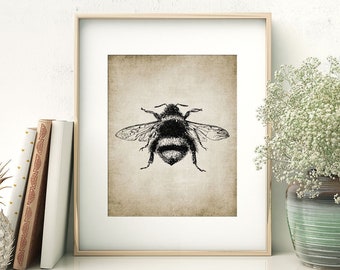 Bumble Bee Wall Art, Printable Bumble Bee, Insect Art, Vintage Bee Drawing, Bees, Entomology #60 INSTANT DOWNLOAD