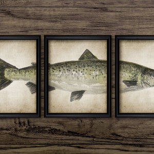 Atlantic Salmon Watercolour Painting Set Of 3, Printable Salmon Fish, Angling, Fisherman, Salmon Fishing Gift Idea #3709 INSTANT DOWNLOAD