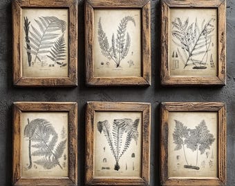 Antique Ferns Print Set of 6, Vintage Fern Botanical Sketches, Rustic Wall Art, Neutral Cottagecore Decor, Forest Inspired Prints