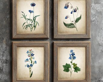 Blue Flowers Print Set of 4, Vintage Botanical Wall Art, Antique Plant Drawings, Rustic Bedroom Decor, Garden Plants Prints