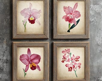 Antique Pink Orchids Print Set of 4, Vintage Botanical Sketches, Rustic Flower Wall Art, Cottagecore Decor, Nature Inspired Prints
