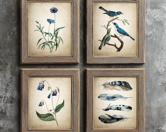 Blue Nature Print Set of 4, Vintage Botanical Wall Art, Antique Bird Drawings, Rustic Feathers Bedroom Decor, Garden Plants Prints