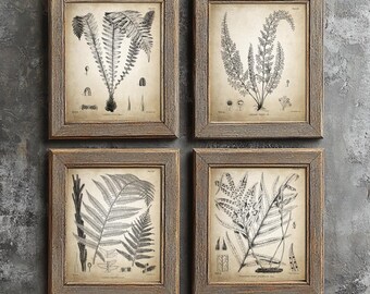 Ferns Print Set of 4, Vintage Botanical Wall Art, Antique Fern Drawings, Rustic Neutral Bedroom Decor, Woodland Prints