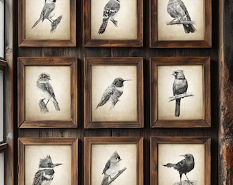 American Birds Print Set of 9, Cardinal Blue Jay Grackle Chickadee Robin Titmouse Pencil Drawings, Garden Bird Sketches, Wildlife Art