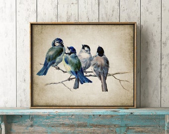 Vintage Blue Birds Print, Garden Bird, Birds On A Branch, Bird Wall Art, Blue Tit Print, Vintage Bird Art, Bird Decor #131 INSTANT DOWNLOAD