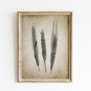 Wheat Wall Art, Printable Wheat Illustration, Wheat Cereal Art, Farmhouse Decor, Farming Rustic Kitchen Wall Art #252 - INSTANT DOWNLOAD