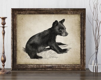 Black Bear Cub Print - Black Bear Illustration - Black Bear Decor - Digital Art - Printable Art - Single Print #634 - INSTANT DOWNLOAD