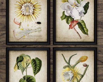 Vintage Flower Wall Art Set of 4, Printable Flowers, Vintage Botanical, Gardening Art, Gardener Gift Idea #177 INSTANT DOWNLOAD