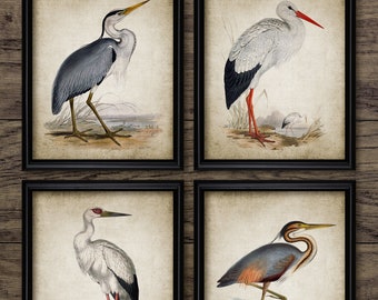 Vintage Heron and Stork Birds Print Set of 4, Printable Wall Art, Wild Bird Living Room Decor, Freshwater Wading Bird #3827 INSTANT DOWNLOAD