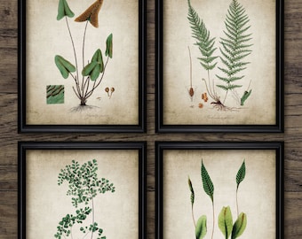 Botanical Wall Art Set of 4, Printable Plant Art, Vintage Botanical, Botany, Leaf, Green Leaves, Woodland, Forest #176 INSTANT DOWNLOAD