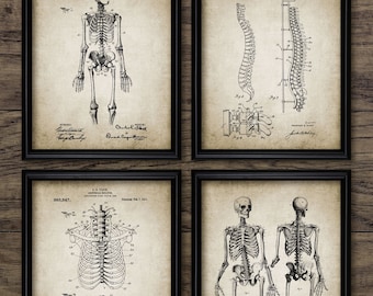 Vintage Human Anatomy Wall Art Set Of 4, Printable Human Skeleton, Medical Student, Human Biology, Spine, Ribcage #2087 INSTANT DOWNLOAD