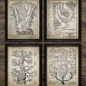Tree Of Life Wall Art Set Of 4, Printable Geology, Evolution, Paleontology, Geological Timeline, Fossil Record #2100 INSTANT DOWNLOAD