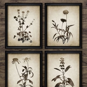 Botanical Wall Art Set of 4, Printable Botanical Art, Botany, Plant, Flowers, Living Room Wall Art #291 INSTANT DOWNLOAD
