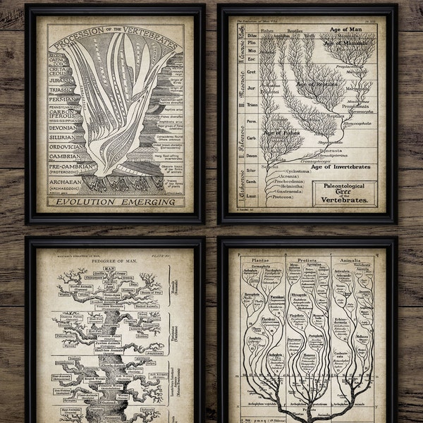 Baum des Lebens Wandkunst 4er Set, druckbare Geologie, Evolution, Paläontologie, Geologische Zeitleiste, Fossilien record #2100 INSTANT DOWNLOAD