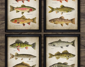 Fish Watercolour Painting Set Of 4, Printable Fish Painting, Angling, Fisherman, Trout, Carp, Bass Fishing Gift #3884 INSTANT DOWNLOAD