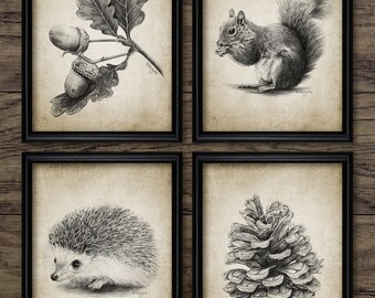 Forest Wall Art Set of 4, Printable Squirrel, Hedgehog, Pine Cone, Acorn, Oak Tree, Woodland Baby Nursery Room #4063 INSTANT DOWNLOAD